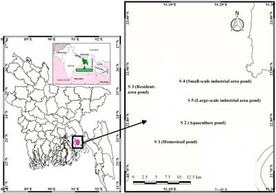 Microplastics in fish culture ponds: abundance, characterization, and contamination risk assessment